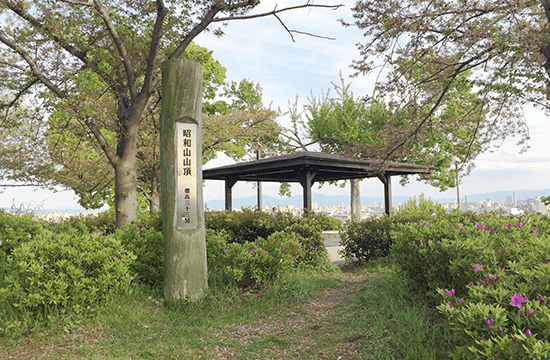 ナカノシマ大学2021年10月講座 大阪「八低山」をゆく